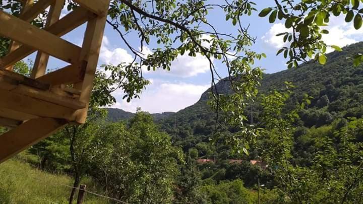 הוילה Sasca Montană Andrei מראה חיצוני תמונה