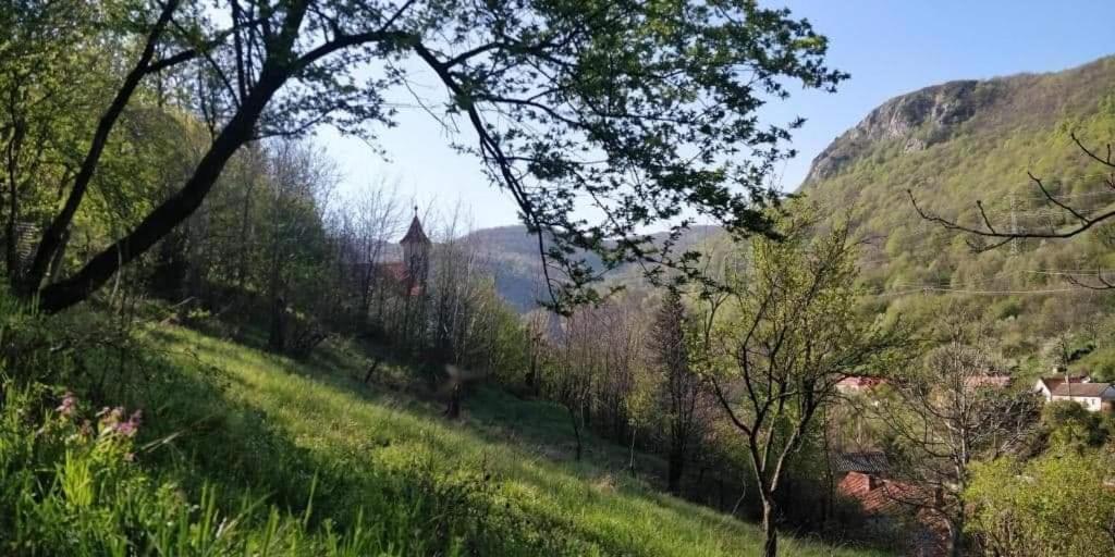 הוילה Sasca Montană Andrei מראה חיצוני תמונה